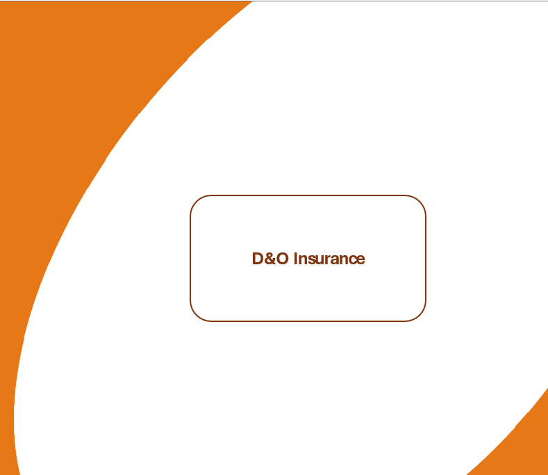 D&O Insurance
